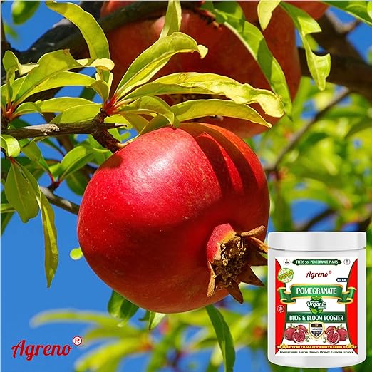 Agreno® Pomegranate Buds and Fruits Booster, Essential Powerful Organic Fertilizer Granule for Fast Growth and Heavy Fruiting of all types of Pomegranate Plants. (450 gm)
