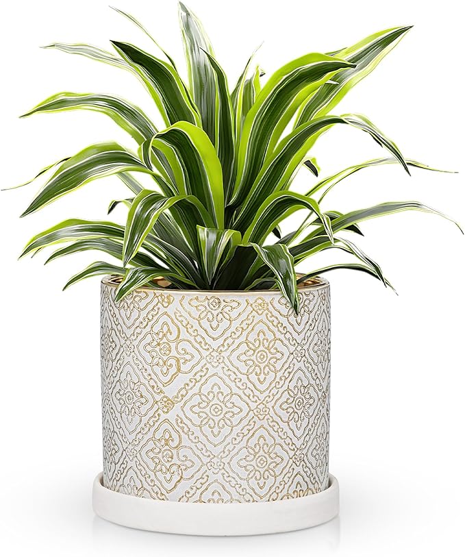 Ceramic Plant Pots with Drainage Hole & Saucer, White & Gold Ceramic Planter Pot for Indoor & Outdoor Use, 5.5" Small Plant Pots Decorative Flowerpots for Succulents, Herbs, Cactus, Orchids Planter