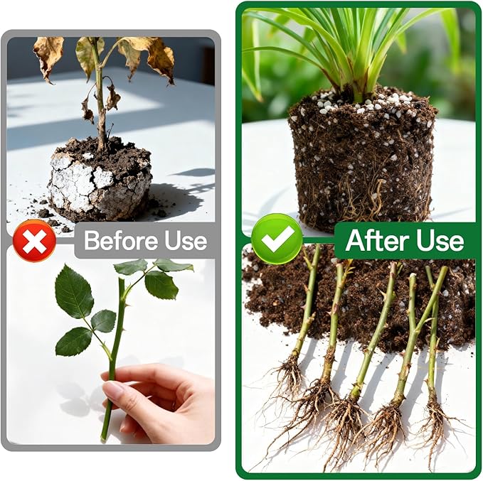 ZeeDix 3QT Organic Perlite Horticulture Soil Amendment for Plants, 3-9mm Granule Size Potted Plant Soil for Orchid Cactus Succulents Carnivorous Monstera Repotting, Indoor Outdoor Gardening