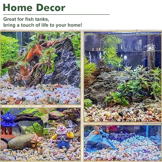 6.6 lbs Succulent and Cactus Bonsai Pebbles, 4-6mm Decorative Landscaping Polished Stones Natural Garden Gravel Rocks for Indoor Outdoor Plants Aquariums DIY, and Gardening Top Dressing, Multicolor