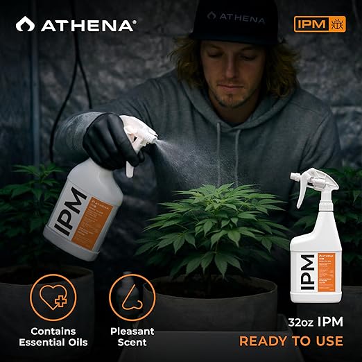 Athena IPM Plant Pest Control Ready-to-Use Spray | Broad Spectrum Fungicide & Insecticide for Indoor and Outdoor Plants | Supports Control of Spider Mites, Powdery Mildew, and Common Plant Pests