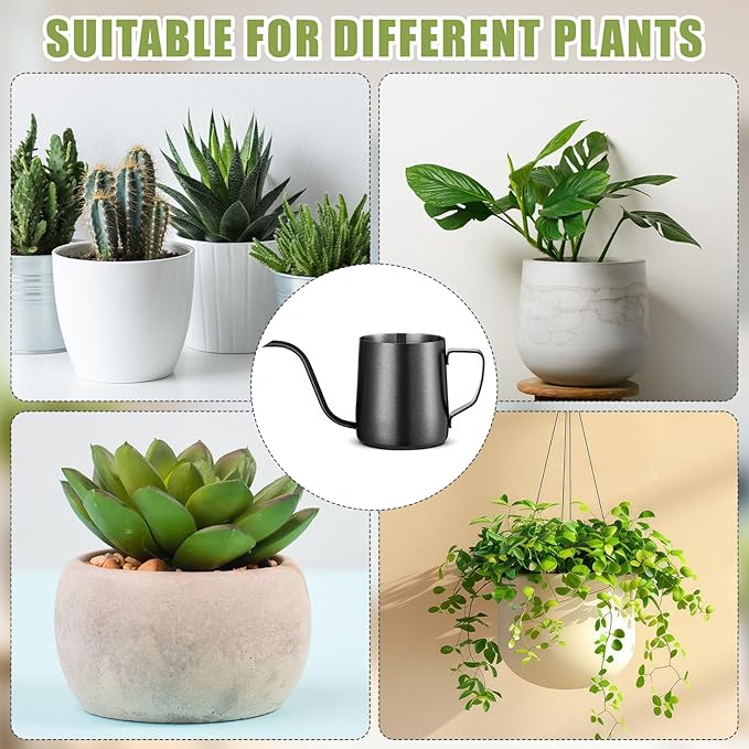 2 Pcs Small Watering Can for Indoor Plants, 12 Oz/350 ml Mini Plant Watering Pot with Long Spout and Scale 304 Stainless Steel Tiny Watering-can for Outdoor Indoor Plants Garden(Black)