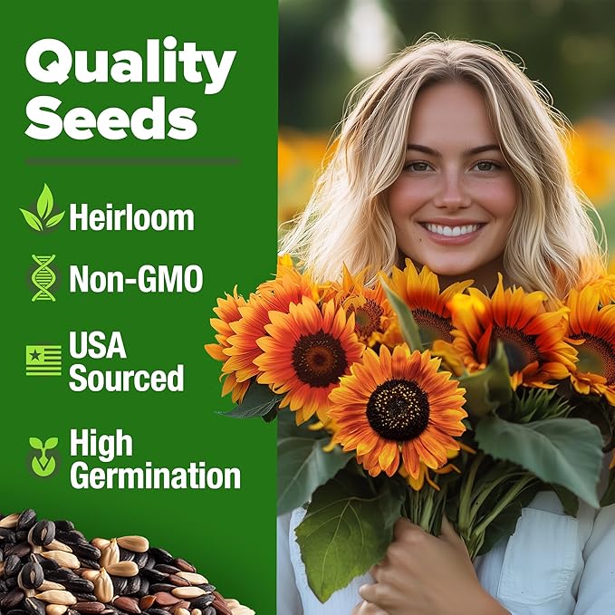 HOME GROWN Autumn Beauty Sunflower Seeds to Plant 40 Heirloom Non-GMO Sunflower Seeds for Planting Blooms for Pollinator Support, and Ornamental Flower Garden (Helianthus annuus)