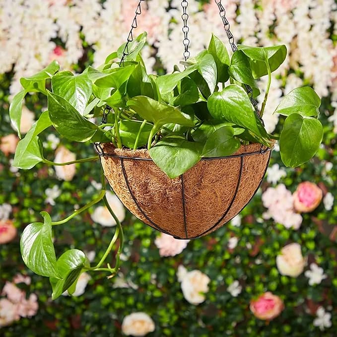 LCHUANG Hanging Baskets Planter for Plants - 2 Pack 14 Inch Metal Baskets with Coco Coir Liner, Hanging Flower Pots for Outside with Chain, Indoor Outdoor Garden Porch Decoration (14'' Pack of 2)