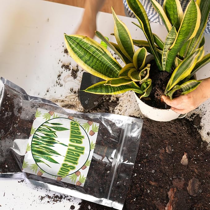 Doter Premium Snake Plant Soil Mix 4qt, Indoor Plants Potting Mix for All Potted Snake Plants, Promote Healthy Growth and Easy Care