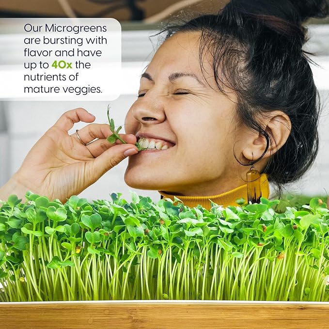 ZESTIGREENS Organic Self-Watering Microgreens Growing Kit – Reusable Indoor Grow Tray with Organic Seeds, Grow Mats & Bamboo Frame – Easy No-Soil Microgreens Starter Kit (Broccoli & Salad Mix)