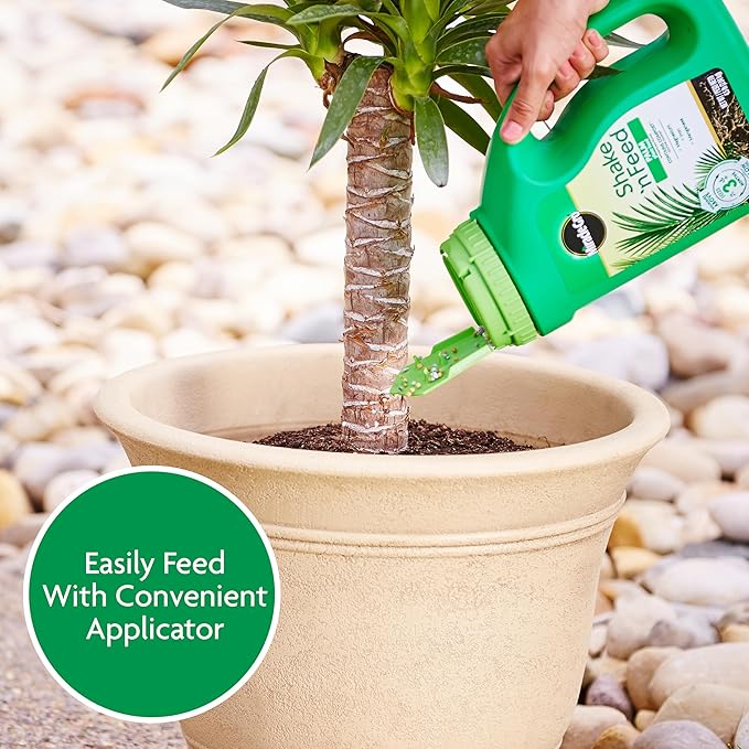 Miracle-Gro Shake 'N Feed Palm Plant Food - Fertilizer for Container and In-Ground Palm Trees, Cycads, and Tropical Plants, 4.5 lb.