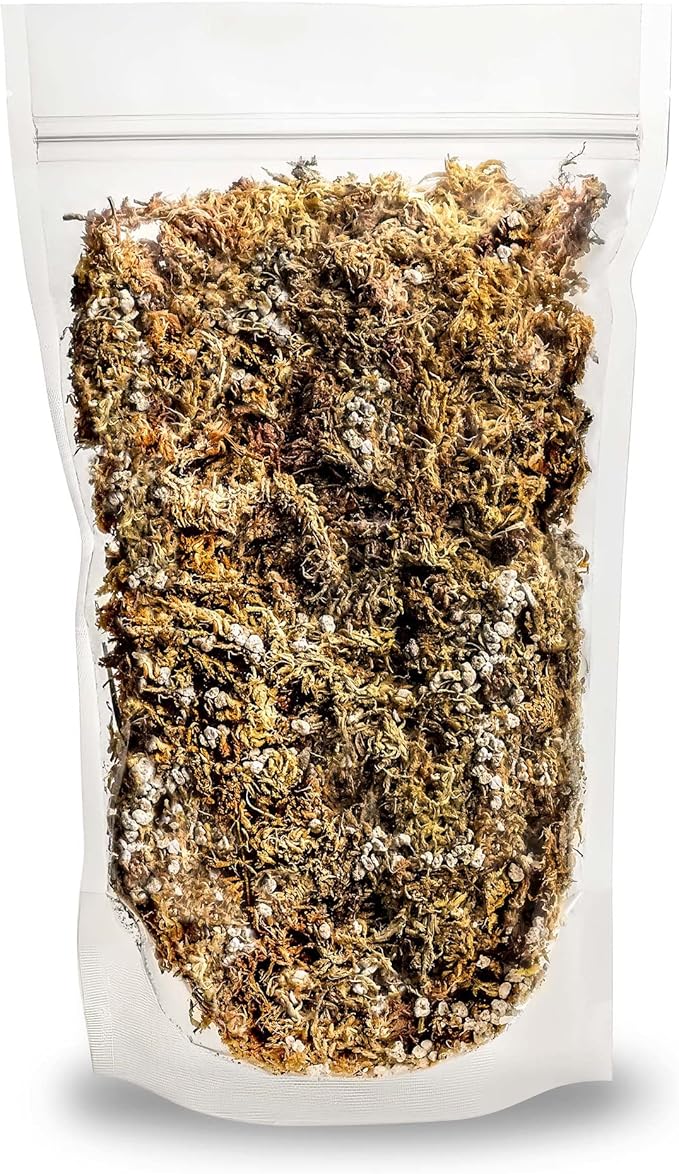 Gardenera Sphagnum Moss Potting Mix for Carnivorous Plants, Moss and Perlite Blend for Potting Venus Fly Traps, Sarracenia, Pitcher Plants - 75% Sphagnum Moss + 25% Perlite - Made in USA - 3 Quart