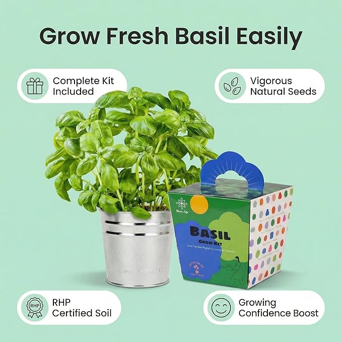 Basil Grow Kit – All-in-One Indoor Herb Garden with Tin Planter, Seeds & Soil, Easy to Grow for Kitchen, Kids, Home, Office, Gift