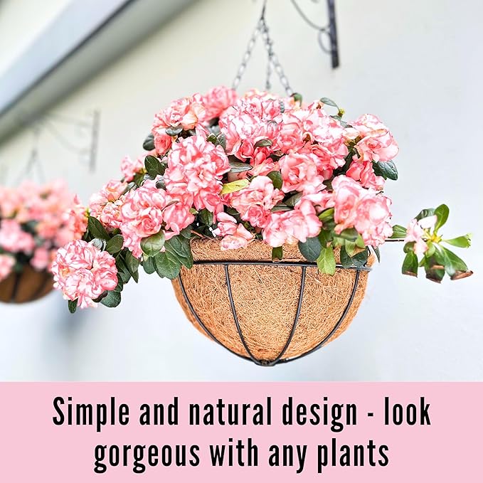 LaLaGreen Hanging Baskets for Plant Outdoor (2 Pack, 16 Inch) Extra Large Black Metal Wire Hanging Planter with Coco Liner Round Flower Pot Holder Hanger Deck Porch Modern Garden Balcony Country Decor