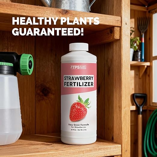 Strawberry Fertilizer – Liquid Plant Food for Better Flowering, Bigger Berries & Stronger Root Runners, 1 Gallon