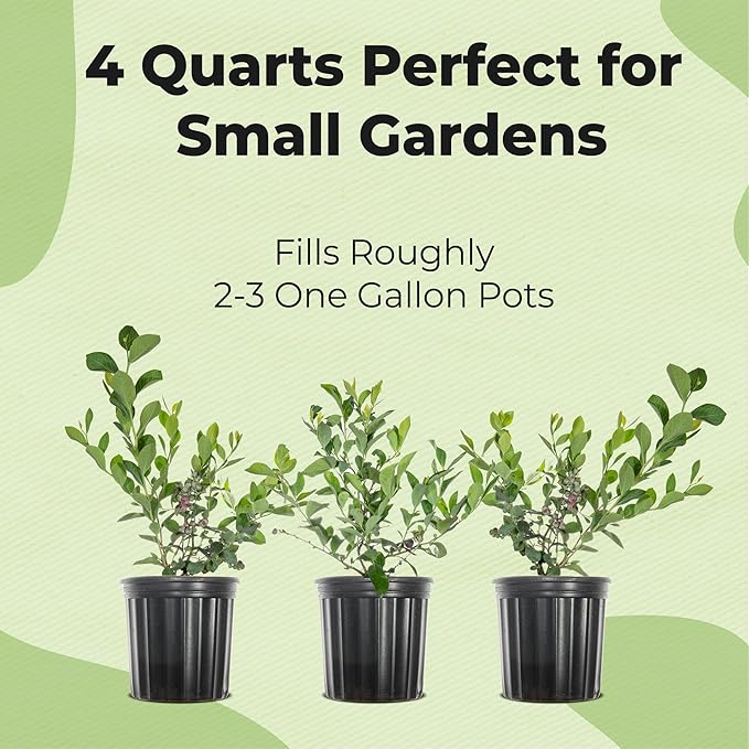 Specialty Blueberry Potting Mix by Perfect Plants | Organic Premium Mix | Use with Blueberry's, Raspberry, or Other Fruit Shrubs (4qt)
