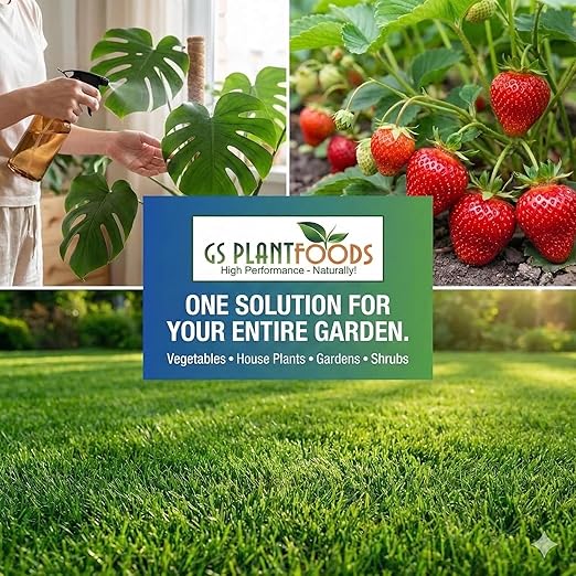 GS Plant Foods Liquid Fish & Kelp Fertilizer (55 Gallons) – Organic Material Review Institute Listed Natural Plant Food for Home Gardens, and Vegetables