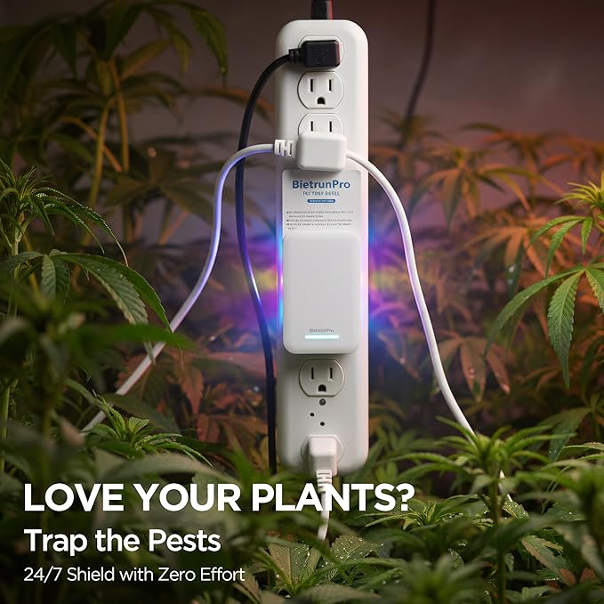 2 Flying Insect Traps+10 Refill Cartridges, 2026 2nd Gen, UV/Blue/Yellow Light Plug in Fly Trap & Indoor Bug Catcher for Gnats, No-Mess Bug Zapper, House & Fruit Flies, 7 * 24hrs Pest Control