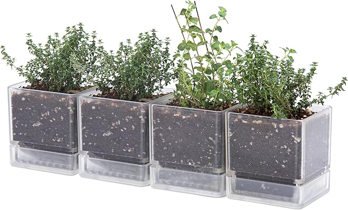 D'vine Dev 4 Inch Herb Planter Pots, Acrylic Planter with Drainage Holes and Saucer, Modern Decorative Gardening Pot for Indoor Plants, Herbs, Succulents, Clear, Set of 4, 76-Y-D-4