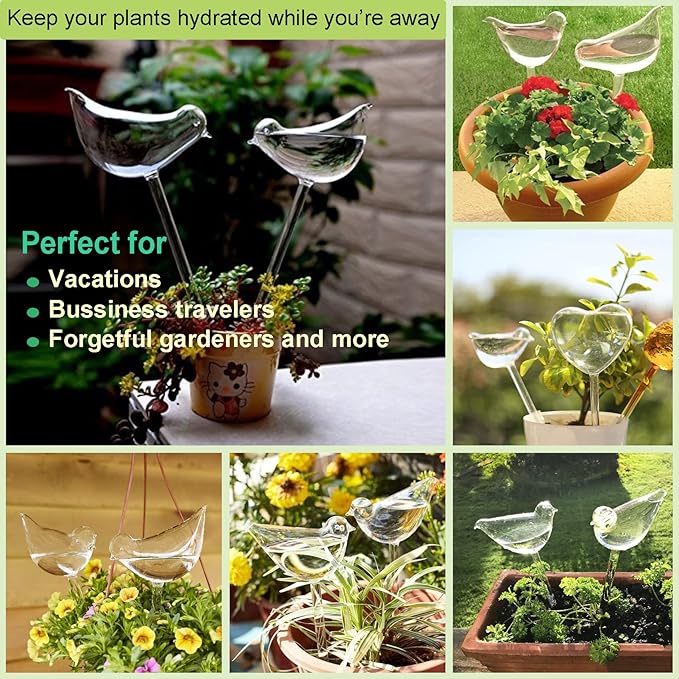 Kingbuy Self Watering Globes Plant Waterer Device Bird Shape Hand Blown Clear Glass Bulb for Indoor or Outdoor Plants, 4 Pack