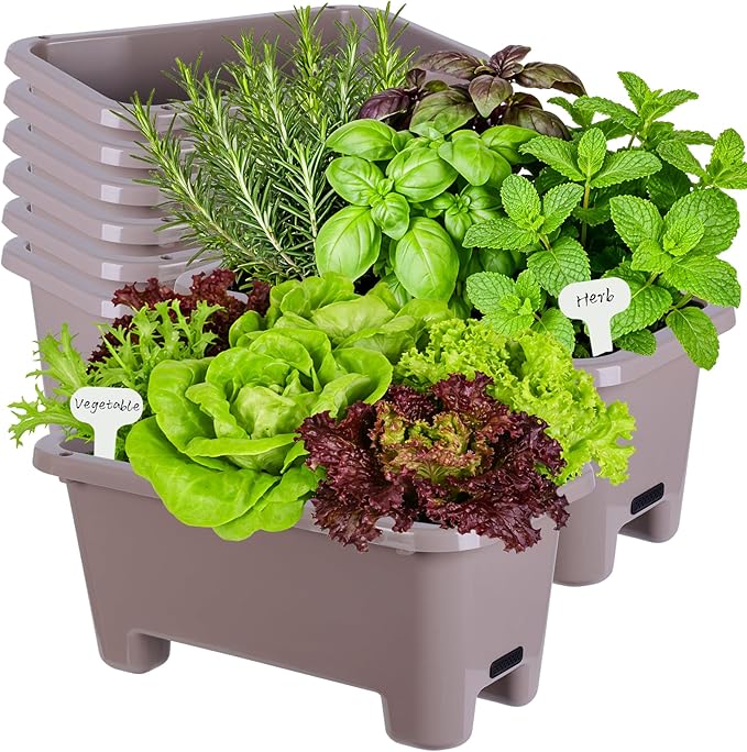 Oliz Self-Watering Rectangle Planter Boxes 8-Pack, 15.7-Inch Window Box Planter with Drainage Holes & Trays, Pots for Vegetables, Herbs, Flowers, Garden Windowsill Balcony (Coffee)