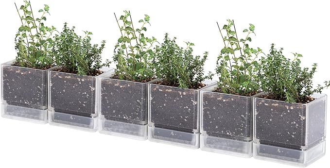 D'vine Dev 4 Inch Herb Planter Pots, Acrylic Planter with Drainage Holes and Saucer, Modern Decorative Gardening Pot for Indoor Plants, Herbs, Succulents, Clear, Set of 6, 76-Y-D-6