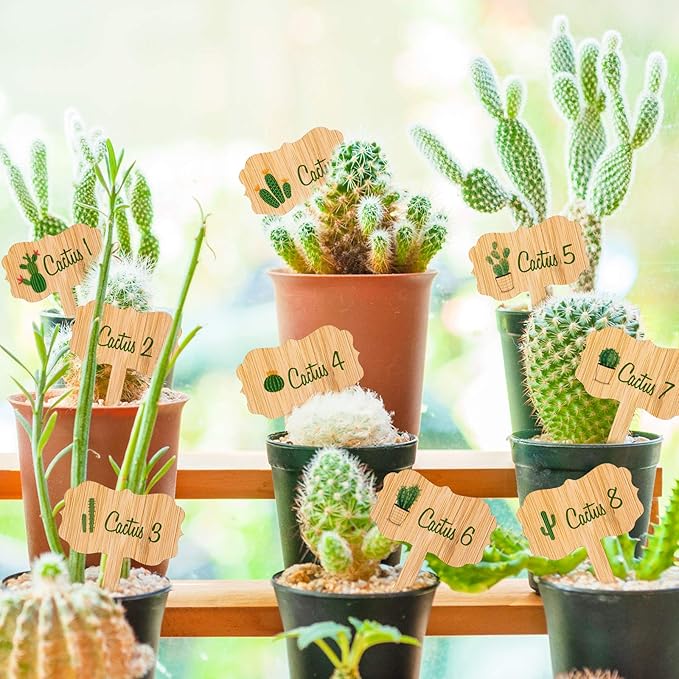 Whaline 60Pcs Bamboo Plant Labels with 1 Marker Pen Eco-Friendly T-Type Wooden Plant Sign Tags Wood Garden Markers Decorative Garden Tags for Seed Potted Herbs Flowers Vegetables (6.5 X 10 cm)