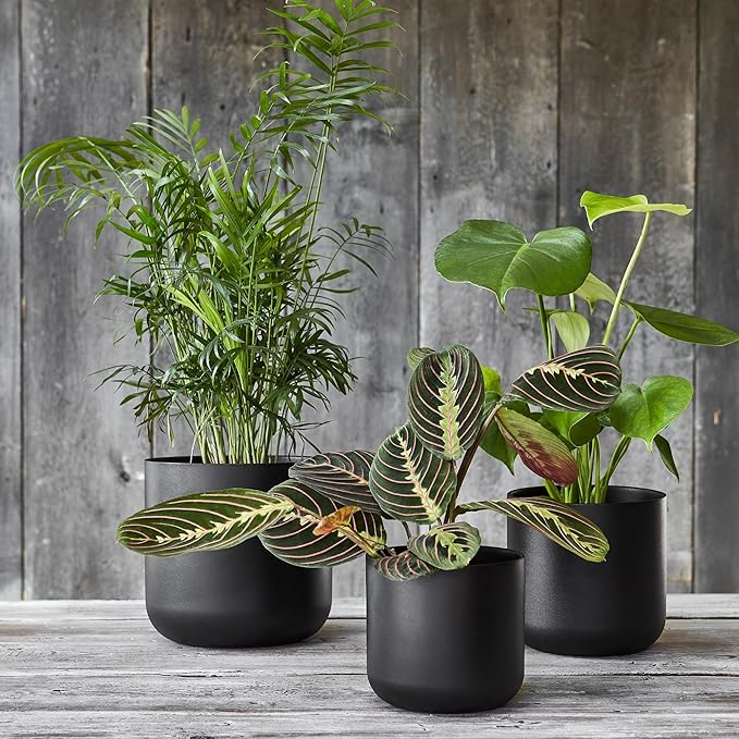 Ivyline Lisbon Planter in Anthracite - Waterproof & Decorative - Stylish Indoor Ceramic Flower Houseplant Pot with Glazed Finish - H18.5cm x D18.5cm