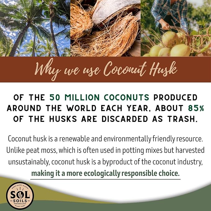 Sol Soils Succulent Gritty Mix - Fast Draining Peat Moss Free Succulent Soil Potting Mix with Coconut Husk Chips, Perlite & Pumice - 1 Quart