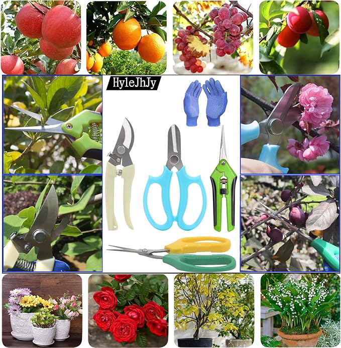 Garden Pruning Shears Garden Scissors Herb Scissors Florist Scissors Floral Snips Bonsai Scissors Hand Pruner with Gardening Gloves,Stainless Steel Straight Tip and Curved Blades,Green+Blue