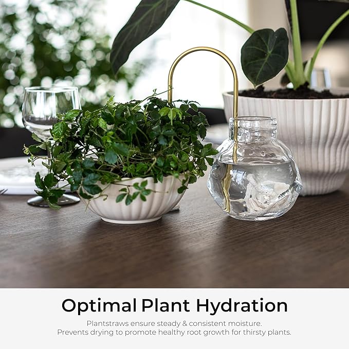 Beautiful Self-Watering Wick System for Effortless Plant Care, Automatic Drip Irrigation, Sustainable & Stylish Scandinavian Design, Ideal for House Plants (S, Klein Blue)