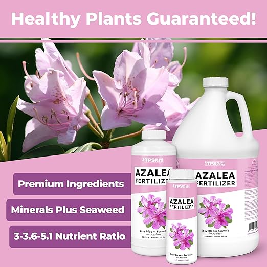 Azalea Fertilizer – Liquid Plant Food for Vibrant Blooms, Rich Green Leaves & Stronger Roots, 32 oz