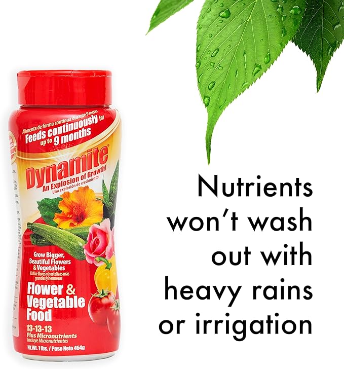 Dynamite Complete Plant Food Flower & Vegetable1 lb