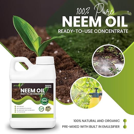 Ready-to-Use Neem Oil Concentrate, Unscented - 100% Organic, High Azadirachtin Content, Just Add Water (16 oz)