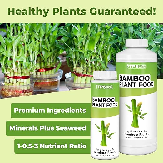 Bamboo Plant Food – Liquid Plant Food for New Shoot Growth, Rich Green Leaves & Strong Root Development, 8 oz