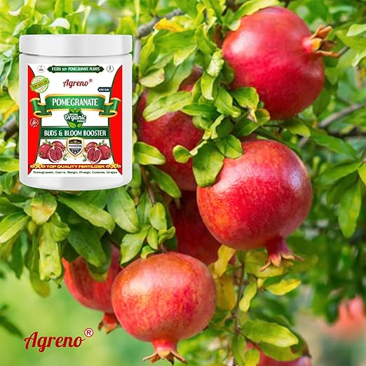 Agreno® Pomegranate Buds and Fruits Booster, Essential Powerful Organic Fertilizer Granule for Fast Growth and Heavy Fruiting of all types of Pomegranate Plants. (450 gm)