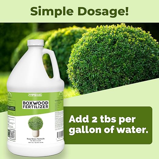 Boxwood Fertilizer – Liquid Plant Food for Dense Growth, Rich Green Foliage, & Stronger Roots, 1 Gallon