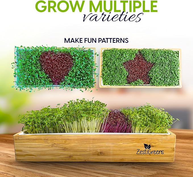 ZESTIGREENS Organic Self-Watering Microgreens Growing Kit – Reusable Indoor Grow Tray with Organic Seeds, Grow Mats & Bamboo Frame – Easy No-Soil Microgreens Starter Kit (Broccoli & Salad Mix)