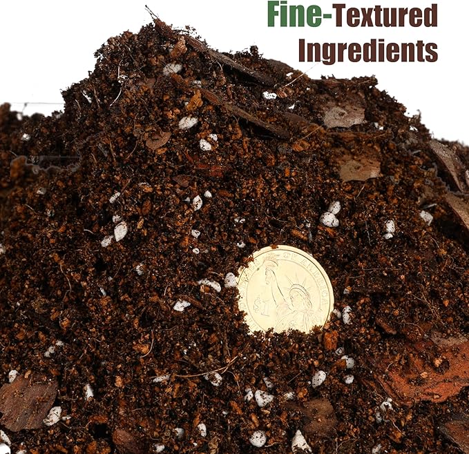 Doter Organic Fiddle Leaf Fig Potting Mix 1qt, Indoor Plants Potting Mix for All Potted Ficus Lyrata Plant, Grow Healthy houseplants Indoors