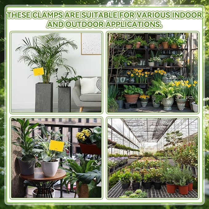 50 Pcs 12 Inch Dual-Sided Yellow Fruit Fly Traps Kit Includes 25 Sticky Cards and 25 Golden Long Wire Holders Effective Insect Gnat Trap Killer for Garden Plant Indoor Pest Control Fungus Gnats