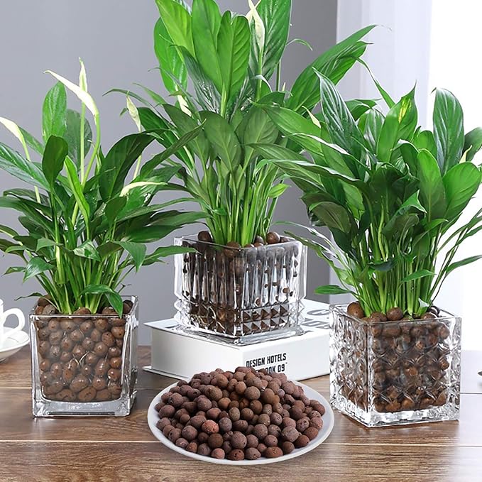 4LBS Leca Expanded Clay Pebbles Hydroponics Supplies for Indoor Garden Plants (4LBS)