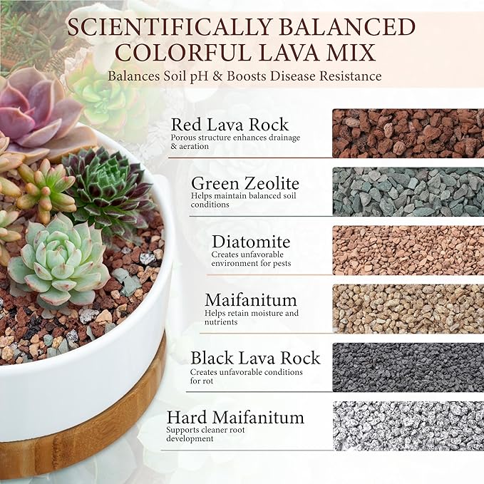 5LB Lava Rocks for Plants-3/8 Volcanic Rock for Succulent Potting Mix, Cactus, Orchids & Bonsai-Porous Horticultural Grit for Drainage, Aeration & pH Balance - Decorative Top Dressing