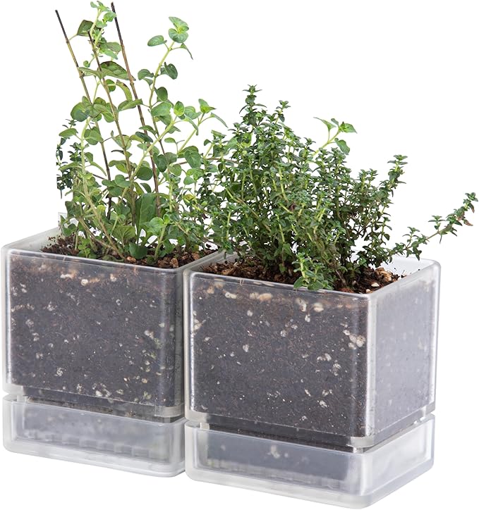D'vine Dev 4 Inch Herb Planter Pots, Acrylic Planter with Drainage Holes and Saucer, Modern Decorative Gardening Pot for Indoor Plants, Herbs, Succulents, Clear, Set of 2, 76-Y-D-2