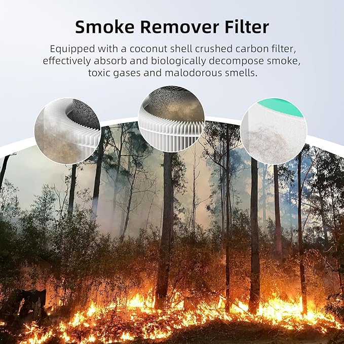 AromaRoom Smoke HEPA H13 Air Purifier Filter Replacement with Coconut Shell Carbon Filters, Compatible with AP100/AP102, Effectively Eliminates Smoke, Harmful Gases, Odors, 2 Packs, AP100-RF-SR，Green