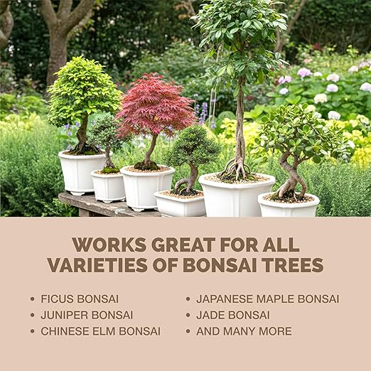 Bonsai Fertilizer – Liquid Plant Food for Healthy Growth, Vibrant Foliage & Stronger Root Development, 8 oz