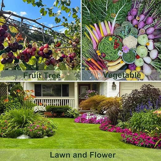 All Purpose Fertilizer, 10-10-10 Indoor Plant Fertilizer, Plant Food for Houseplants, Boost Stem & Leaf Growth, Improves Root Health, Promote Large Flower Blooming & Fruit Growth（6LB）