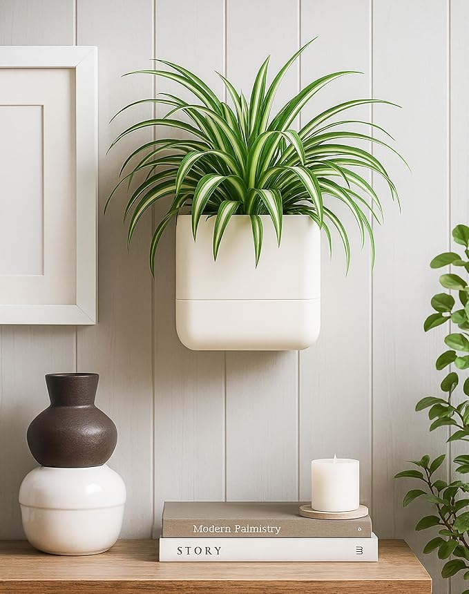 Phoenix Vine 6.5 Inch Wall Mounted Self-Watering Planter Pots for Indoor Houseplants and Herbs | Hanging Planter for Window Sills, Bathroom Walls, Home & Office Décor, Oatmeal, Set of 3, 01-C-G-3