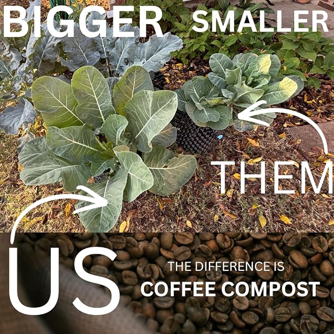 Java Potting Soil: A Well Draining, Coffee‑Infused Living Indoor Mix Ready to Grow. for All Monstera, Calathea, Fiddle Leaf Fig, ZZ, Snake, Spider and Pothos Plants; with Chunky Vermiculite. 6 (QT)