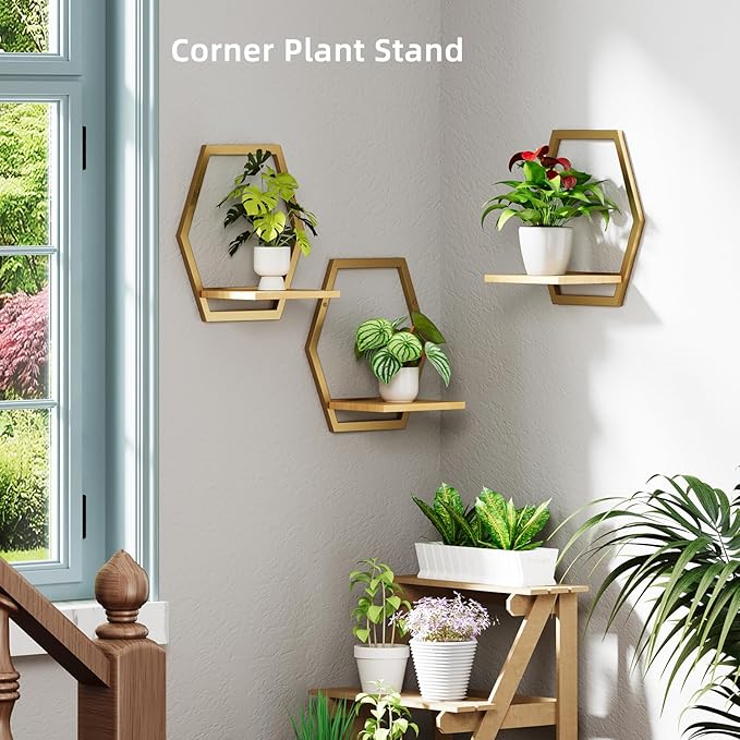 Modern Golden Hexagon Wall Planters with Solid Wood Shelves Set of 3 Geometric Floating Wall Decor for Indoor Plants, Stylish Wall Mounted Display for Succulents & Small Plants