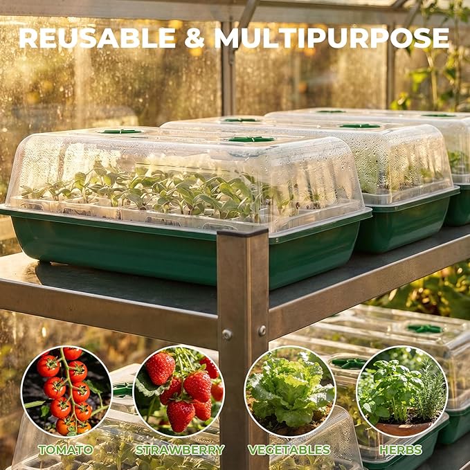 HIRALIY 80 Cell Seed Starter Tray Kits with Grow Light, Reusable Plant Germination Trays, Easy Transplanting, with Domes and Bases, for Starting Vegetable, Flower, Herb, Indoor Gardening, Greenhouse