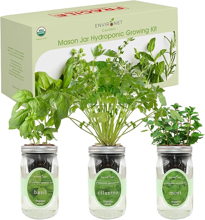 Hydroponic Herb Growing Kit Set, Self-Watering Mason Jar Herb Garden Starter Kit Indoor, Window Herbs Garden, Grow Your Own Herbs from Organic Seeds (Basil, Cilantro and Mint)