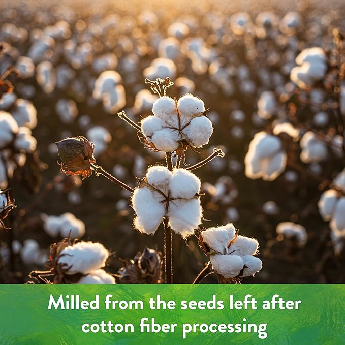 Down To Earth All Natural Fertilizers Organic Cottonseed Meal - Plant Food for Low pH Acid Soil Loving Plants 6-2-1, 5 lb