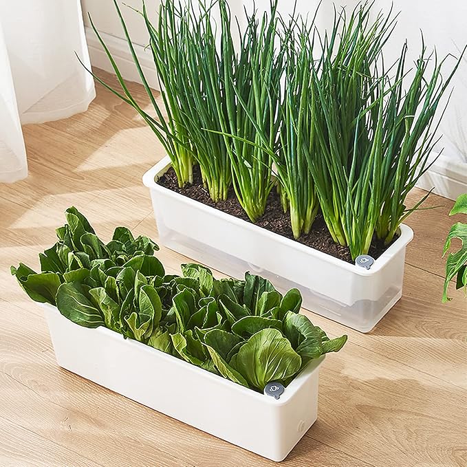 FAMZ Self Watering Pots for Indoor Plants 3 Pack Transparent Rectangular Planter, Vegetable Planters for Windowsill Patio Garden Balcony Home Porch Yard Indoor Outdoor, White