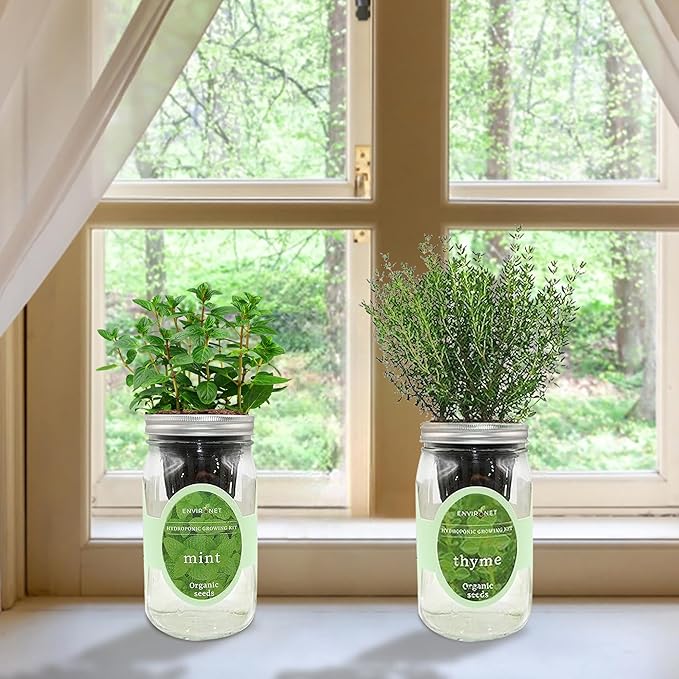 2-Pack Hydroponic Mason Jar Herb Garden Kit, Indoor Herb Garden Self-Watering Starter Kit, New Christmas Gift for Mom (Mint,Thyme)